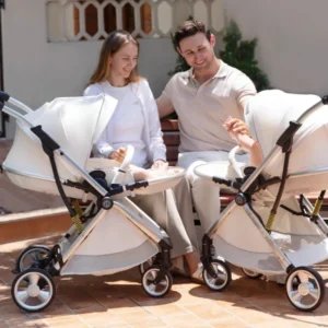 Twin Baby Stroller